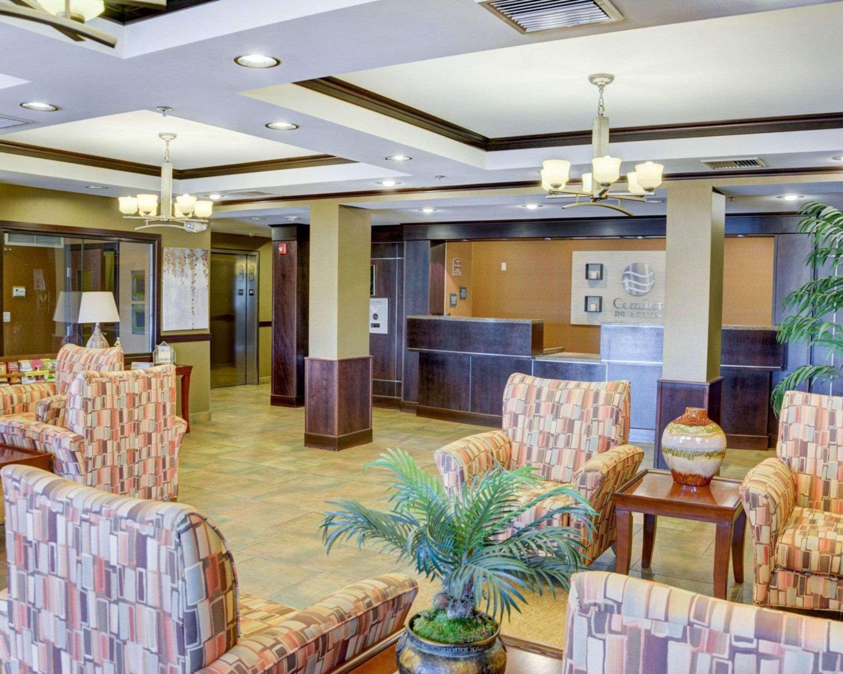 Comfort Inn & Suites Russellville I-40 Exterior foto